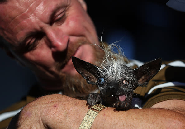 This is officially the world’s ugliest dog (but we think she’s precious!)