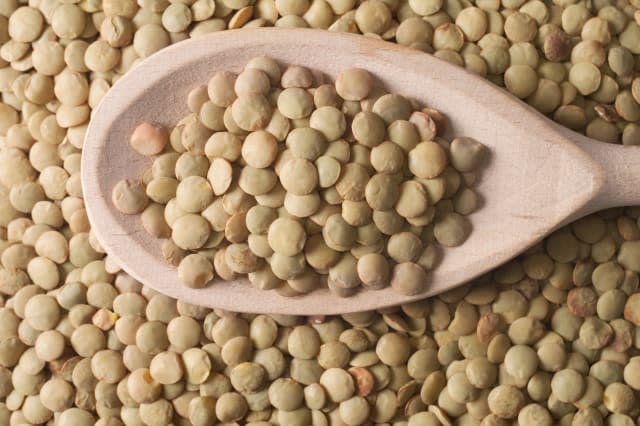 Green lentils in a wooden spoon on green lentils background.