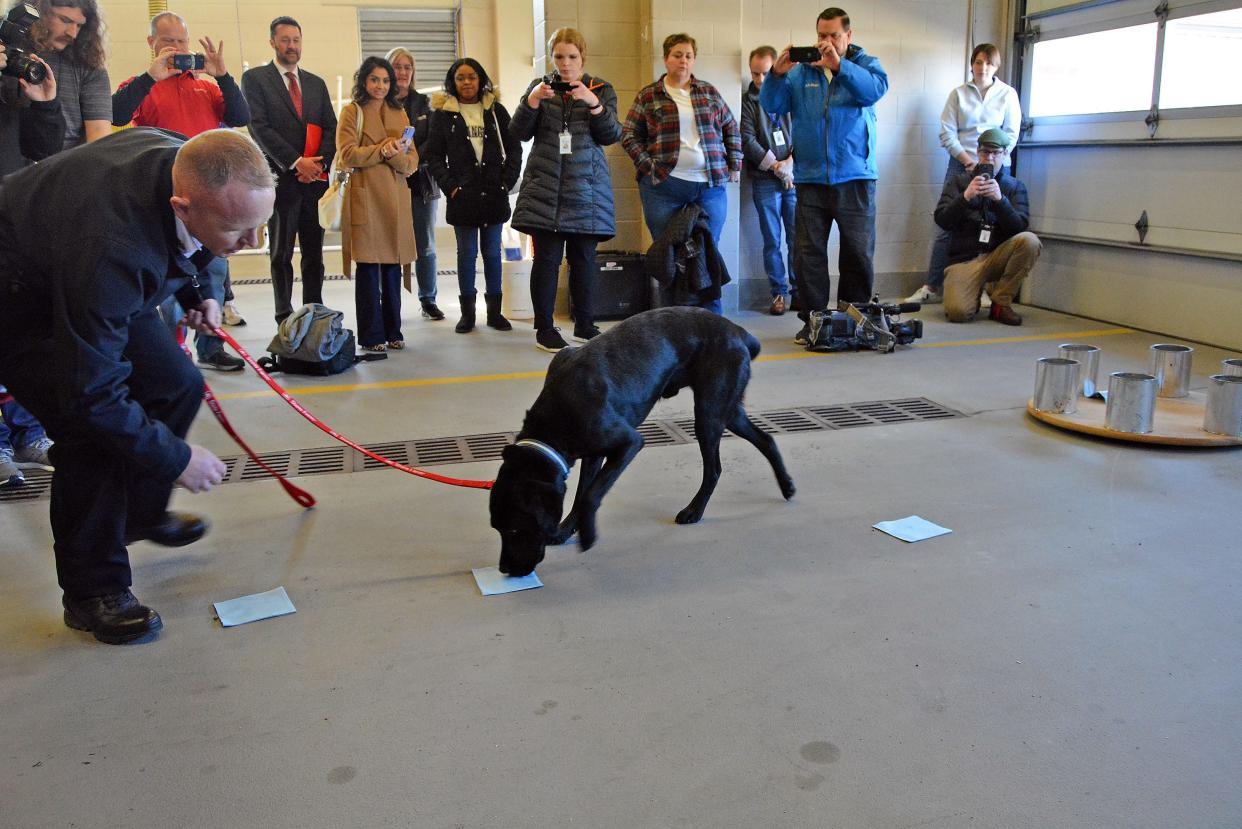 Columbia Fire Deparment Fire Marshal Battalion Chief Jim Pasley conducts an accelerant detection demonstration with Tony on Friday at the department's downtown headquarters. Tony is the department's new arson dog following the death of Izzo in 2021 after a sudden illness. 