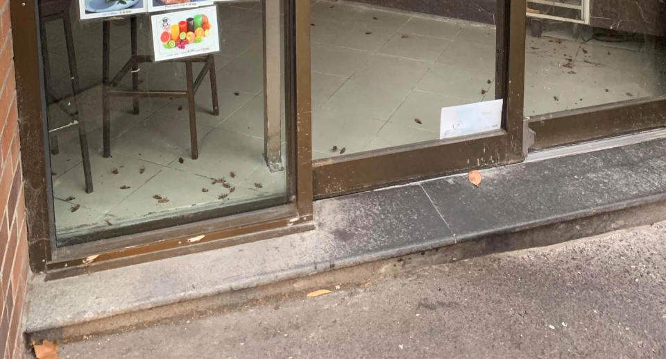 Dead cockroaches seen on the floor of Roll In & Out in Surry Hills. Source: Yahoo News Australia