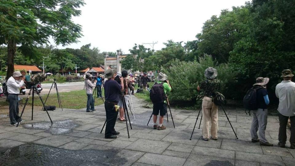 高雄市府觀光局獲中央補助，繼去年完成鳥松濕地園內步道更新外，預計今年底也將投入經費約一千二百萬元陸續更新外環步道。（記者吳文欽攝）