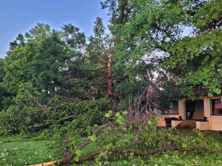 A storm hit Halstead on May 19, 2024. These are the day-after pictures. (Courtesy Harvey County Emergency Management)