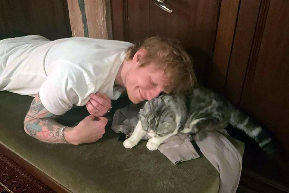 <p>Ed Sheeran/Instagram</p> Ed Sheeran poses with Taylor Swift