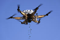 A drone pours mangrove seeds over a lagoon at Al Nouf area southwest of Abu Dhabi, United Arab Emirates, Wednesday, Oct. 11, 2023. Abu Dhabi National Oil Co. (ADNOC), earlier this year began using drones to scatter mangrove seeds across Abu Dhabi, part of what it touted as a sustainability effort to plant some 2.5 million of the carbon-storing plants. (AP Photo/Kamran Jebreili)