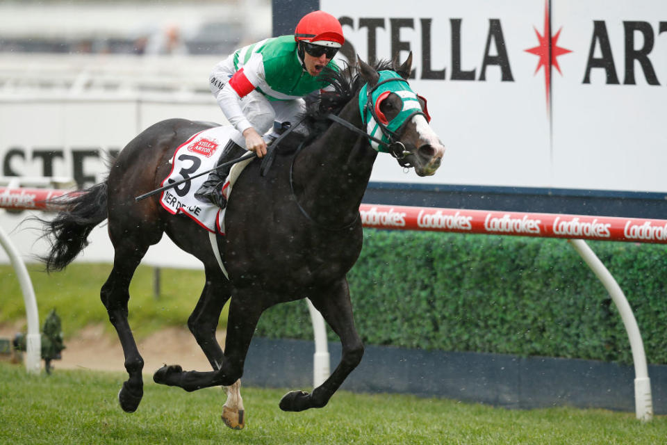 Damian Lane rides Japanese horse Mer De Glace to win the Caulfield Cup in the lead-up to the Melbourne Cup. 
