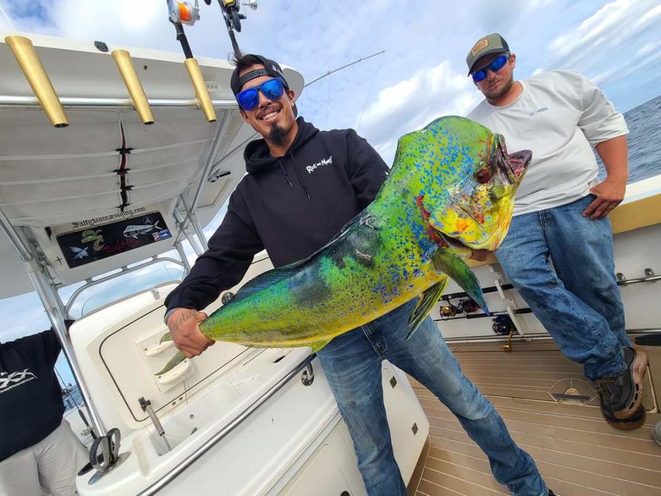 The fall dolphin run is on. On Salty Daze fishing out of Port St. Lucie, dolphin in the 25-pound class were caught Nov. 25, 2022.