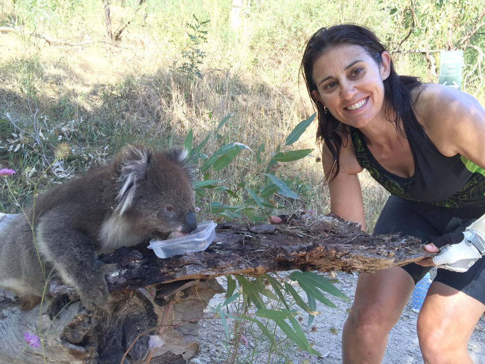 Anna Heusler feeding a koala water. (Caters)