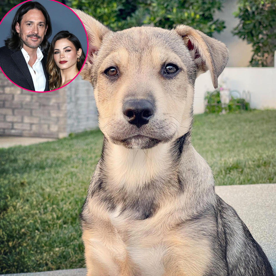 Jenna Dewan and Steve Kazee