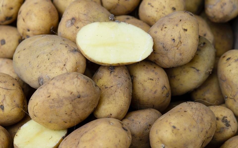 Zwar mögen Kartoffeln es kühl und dunkel, doch im Kühlschrank haben sie deswegen nichts zu suchen. Besser Sie lagern sie im Keller. Denn die eisige Luft im Kühlschrank verwandelt die Stärke in Zucker, die Knolle wird süß-mehlig. (Bild: Getty Images / Clemens Bilan)