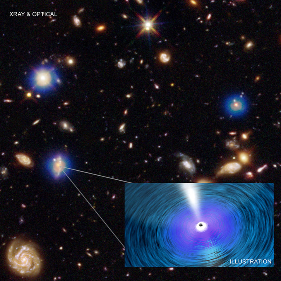 An image from the Chandra X-ray Observatory’s Deep Field-South. The Chandra image (blue) is the deepest ever obtained in X-rays. It has been combined with an optical and infrared image from the Hubble Space Telescope, colored red, green, and blue. Each Chandra source is produced by hot gas falling toward a supermassive black hole in the center of the host galaxy, as depicted in the artist's illustration. <cite>X-ray: NASA/CXC/Penn. State/G. Yang et al & NASA/CXC/ICE/M. Mezcua et al.; Optical: NASA/STScI; Illustration: NASA/CXC/A. Jubett</cite>
