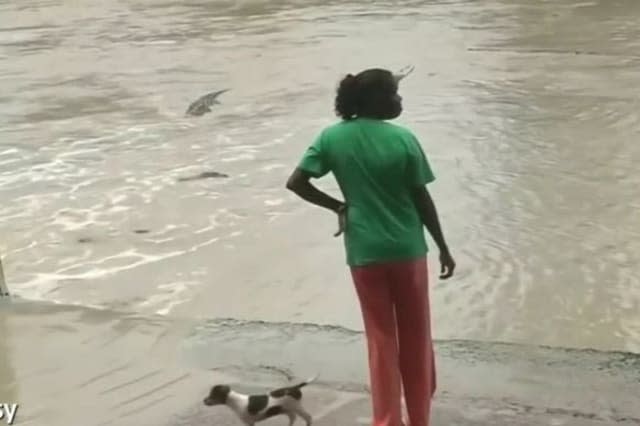 Brave woman wards off crocodile with flip-flop