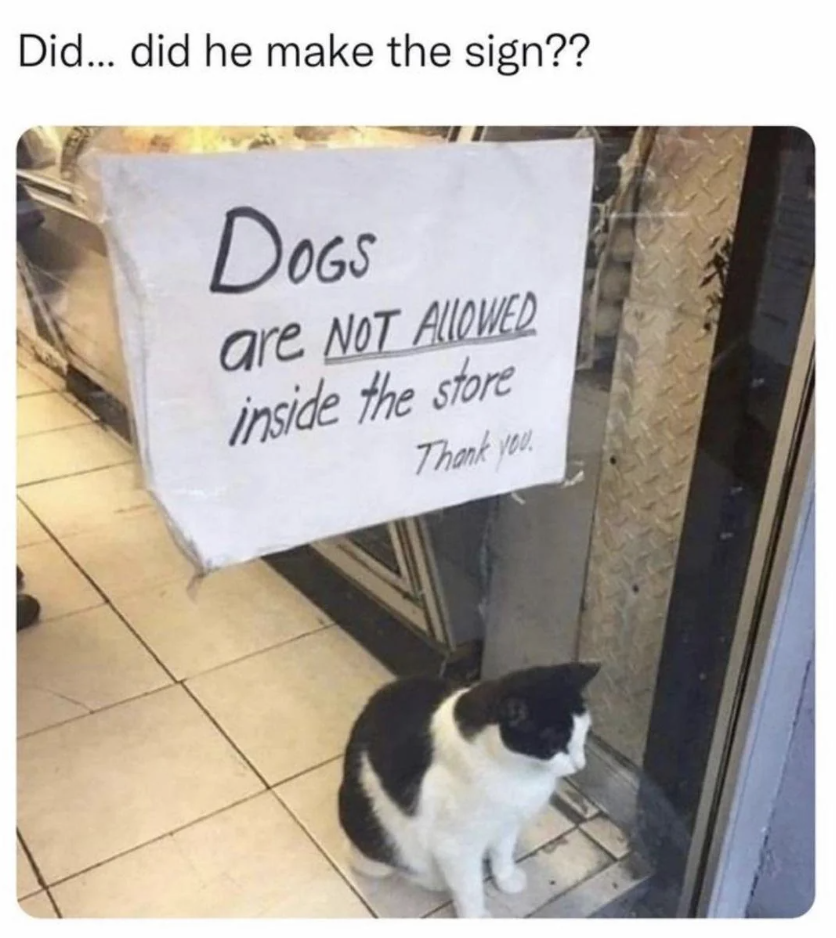 A cat sits beside a sign stating "Dogs are NOT ALLOWED inside the store Thank you."