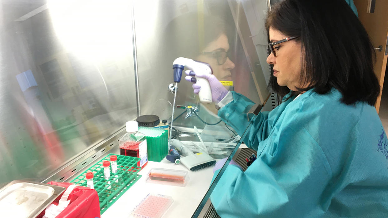 A demonstration of the equipment and procedures that will be used at the department's Viral and Rickettsial Disease Laboratory lab in Richmond, Calif., on Feb. 6, 2020, to conduct tests for novel coronavirus. This is not an actual test of a novel coronavirus specimen. (California Department of Public Health via AP)