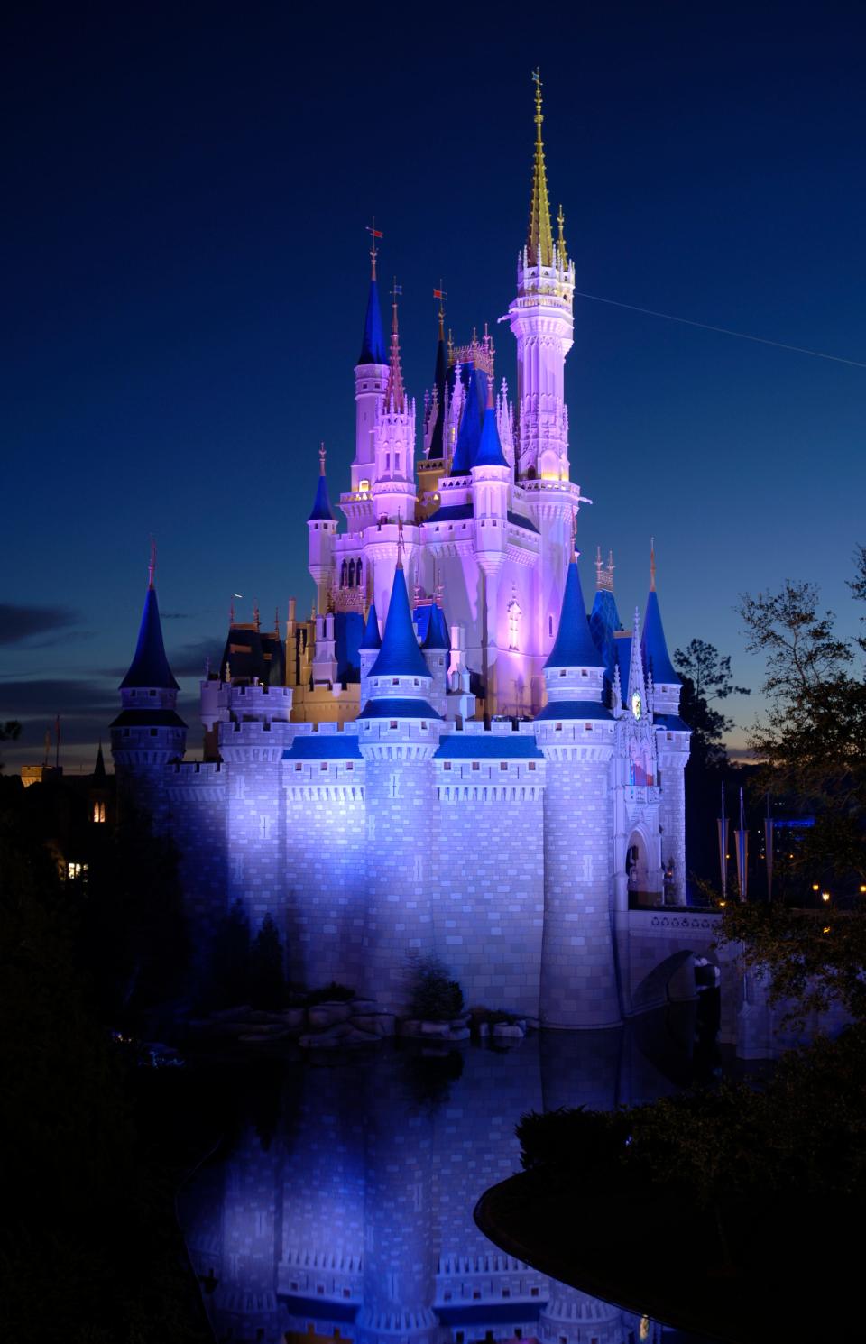 cinderella castle FL