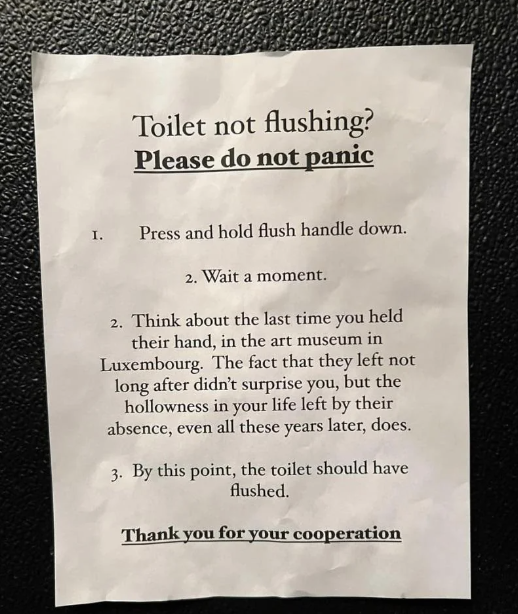 Sign with humorous instructions on how to flush a toilet and not to panic, ending with a thank-you for cooperation