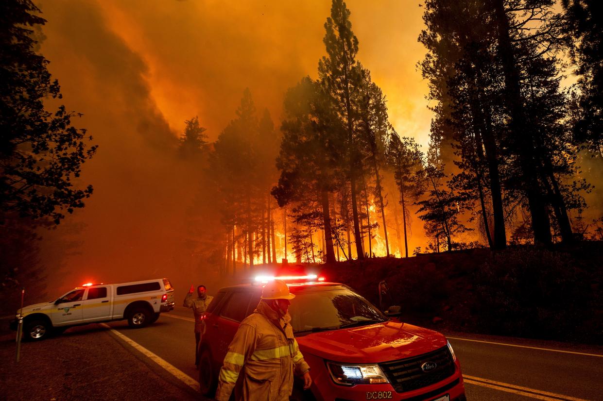 Flames leap from trees as the Dixie Fire jumps Highway 89 north of Greenville in Plumas County, Calif. on Tuesday, Aug. 3, 2021. Dry and windy conditions have led to increased fire activity as firefighters battle the blaze which ignited July 14.