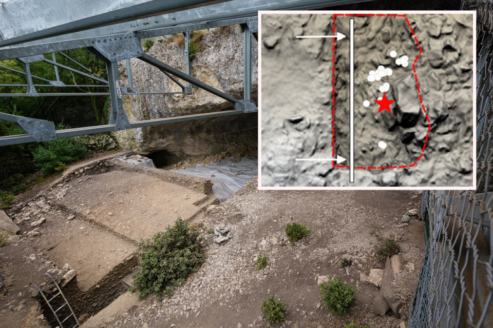 Background: The cave system where Thorin was found. Inset: the exact location of his bones.