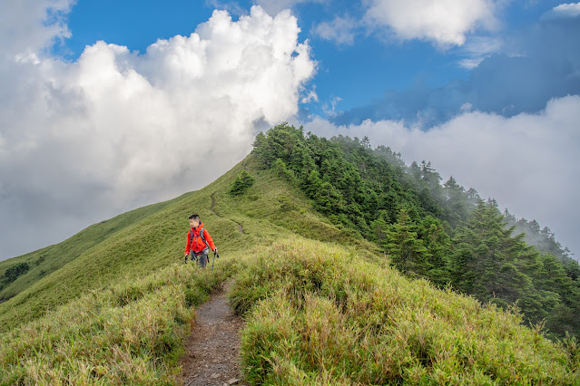 合歡南峰後，還需要再翻越一座山頭，才會接上合歡主峰戰備道