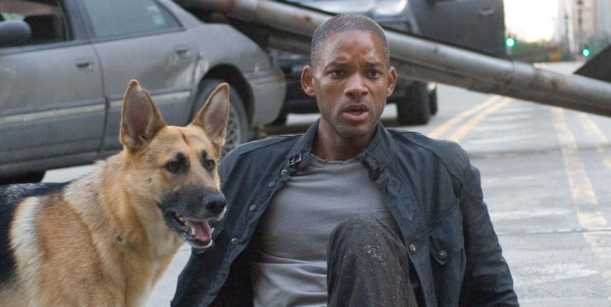 will smith and his dog in i am legend