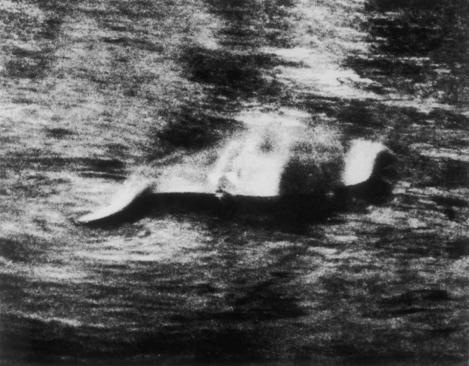 Photograph of the Loch Ness Monster