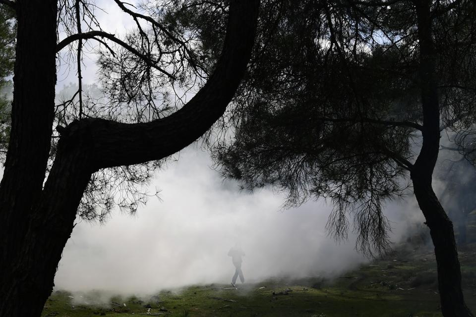 A protester runs through a forestland to avoid a tear gas during clashes in Karava near the area where the government plans to build a new migrant detention center, on the northeastern Aegean island of Lesbos, Greece, Wednesday, Feb. 26, 2020. Local authorities declared a 24-hour strike on two eastern Greek islands Wednesday to protest government plans to build new migrant detention camps there. (AP Photo/Michael Varaklas)