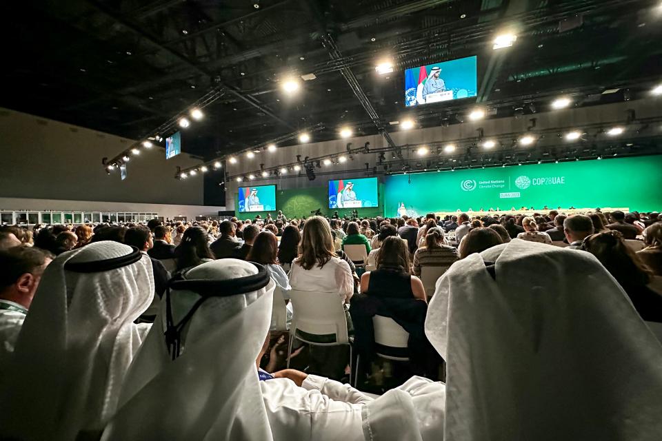 Participants attend a Cop28 a plenary session at the United Nations climate summit in Dubai on 13 December 2023 (AFP via Getty Images)