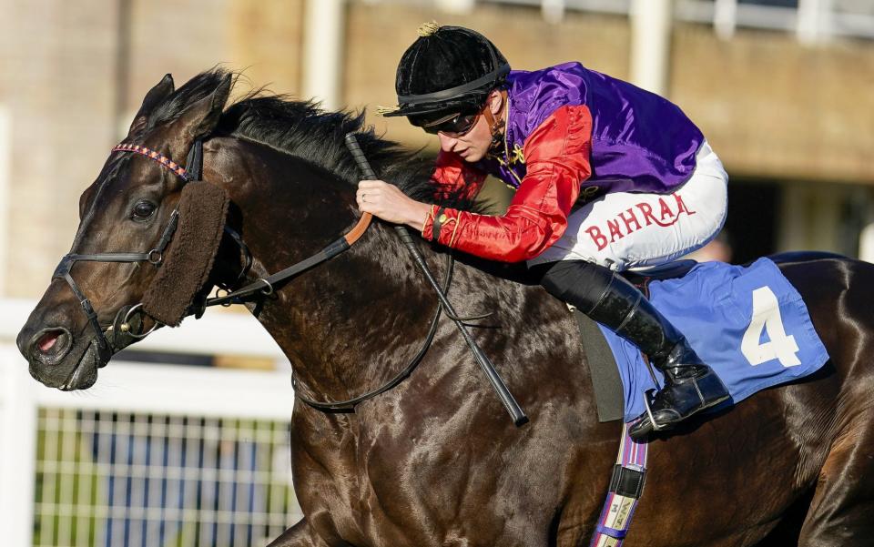 King Charles III's first royal runner: Odds on favourite Educator finishes second at Sailsbury - GETTY IMAGES