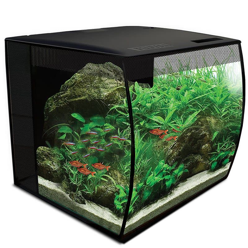 <p>Fluval</p>