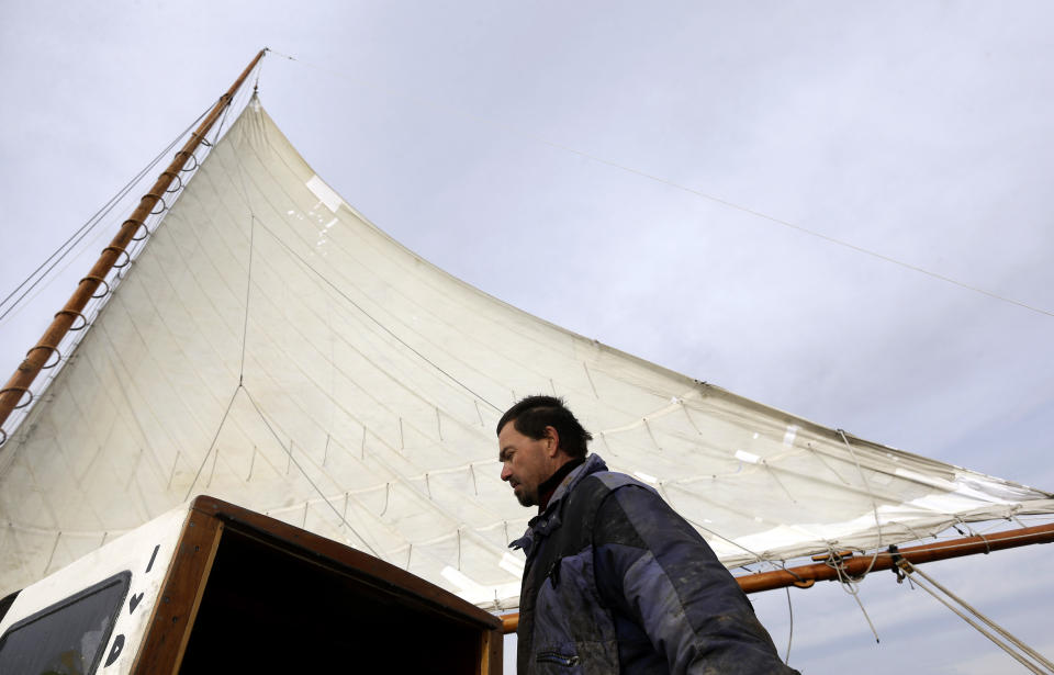 In this Dec. 20, 2013 picture, Capt. David Whitelock stands under the mainsail as he guides the skipjack Hilda M. Willing in Tangier Sound near Deal Island, Md. Whitelock, who comes from a long line of commercial commercial oystermen, started working on the water at age 12 during his summer vacations. (AP Photo/Patrick Semansky)