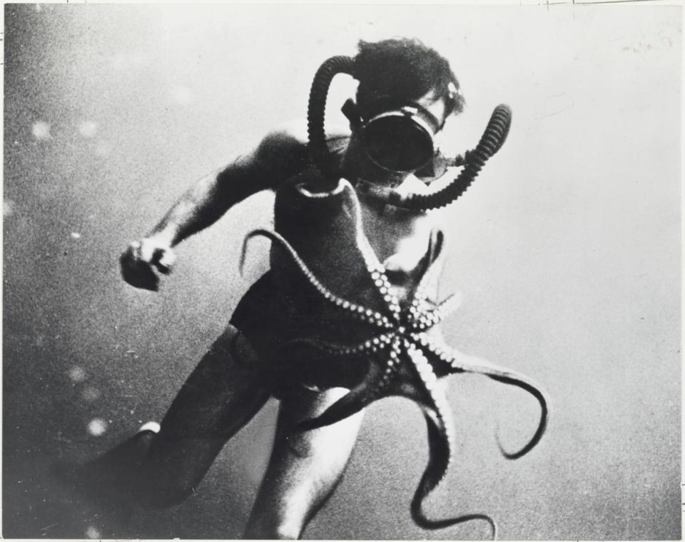 'A diver swims with an octopus, whose arms measured three feet long, Mediterranean Sea.' (Jacques Cousteau, P. Tailliez & F. Dumas/National Geographic/Christie's Images) <br> <br> <a href="https://www.christies.com/services/publications/browse-ecatalogues.aspx" rel="nofollow noopener" target="_blank" data-ylk="slk:Click here to see the full collection at Christie's;elm:context_link;itc:0;sec:content-canvas" class="link ">Click here to see the full collection at Christie's</a>