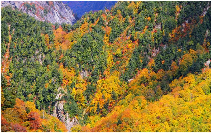 日本立山黑部阿爾卑斯山脈路線