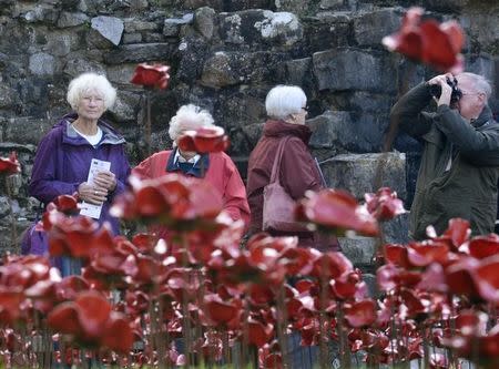 The poppy sculpture 'Weeping Window', a cascade of thousands of handmade ceramic poppies by artist Paul Cummins and designer Tom Piper on display at Caernarfon Castle, Wales, October 17, 2016. REUTERS/Rebecca Naden