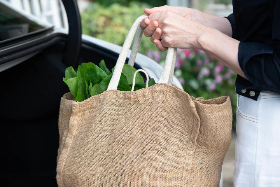 Bag of groceries