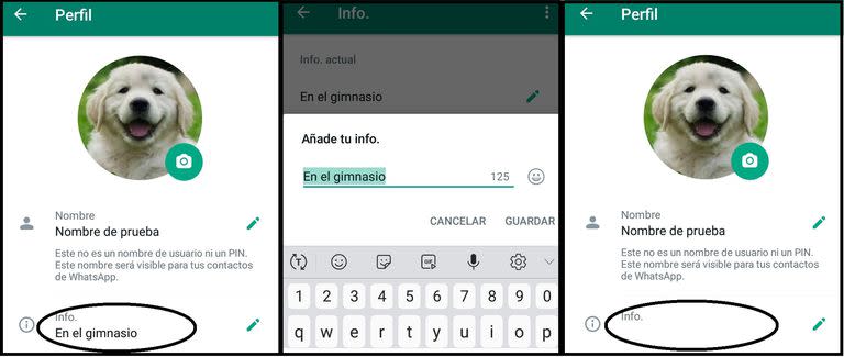 Así queda el estado en blanco de WhatsApp