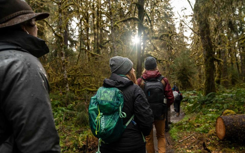 Airbnb Silent Forest experience