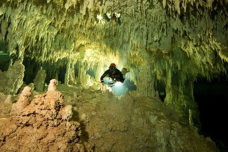 A scuba diver measures the length of Sac Aktun underwater cave system as part of the Gran Acuifero Maya Project near Tulum, in Quintana Roo state, Mexico January 24, 2014. Picture taken January 24, 2014. Herbert Mayrl/Courtesy Gran Acuifero Maya Project (GAM)/Handout via REUTERS