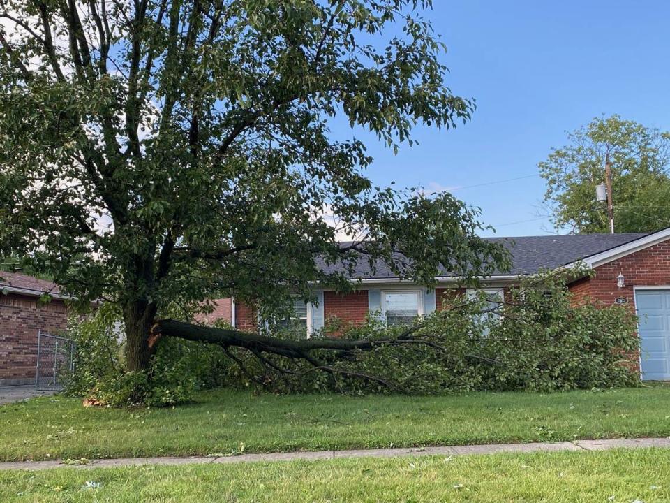 A tree limb snapped after a storm on Sunday evening.