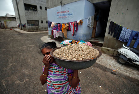 A woman covers her nose as she carries damaged wheat to discard it after flooding at a neighbourhood in Ahmedabad, India, August 3, 2017. REUTERS/Amit Dave/Files