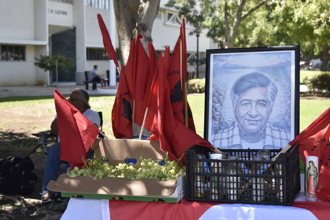 A portrait of Cesar Chavez, along with grapes picked by farmworkers, is showcased at a vigil outside of state government offices in Fresno on Aug. 30, 2022.