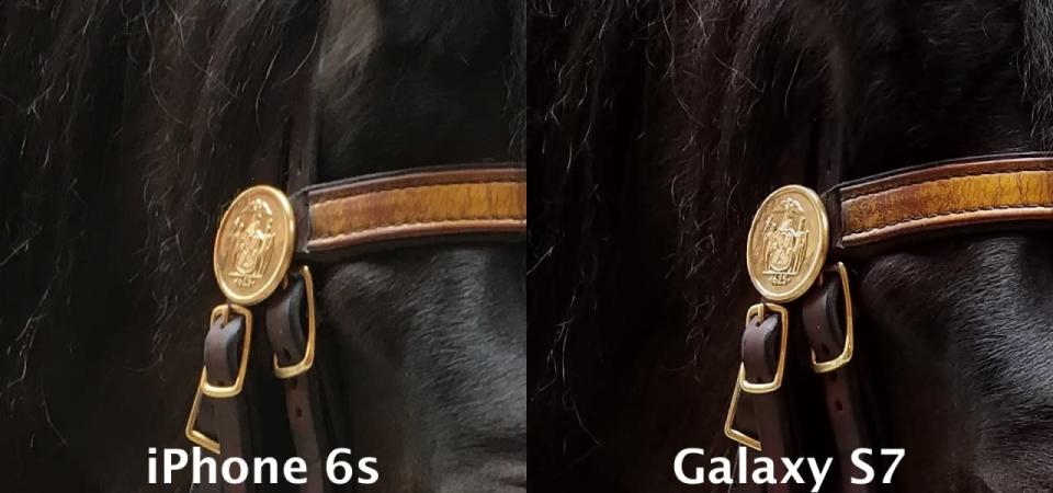Horse medallion