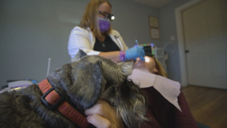 Enjoy a canine cuddle during your teeth treatment