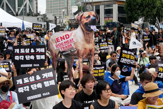 <p>AP Photo/Ahn Young-joon</p> Animal rights activists in Seoul