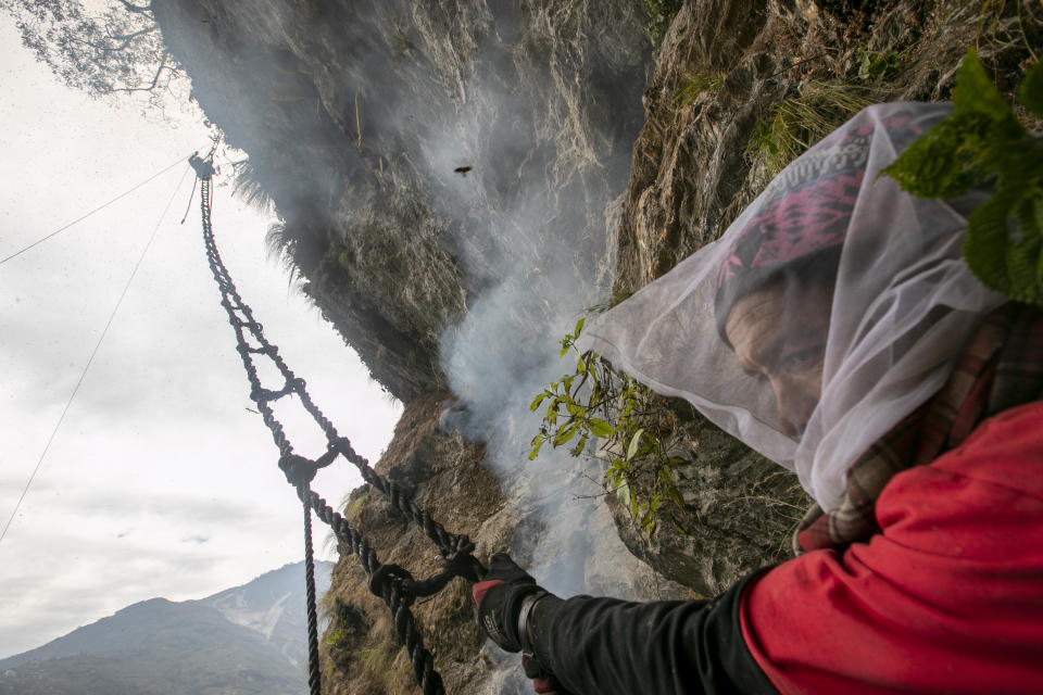 A Nepalese honey hunter holds a bamboo rope ladder as as team leader Devi Bahadur Nepali, climbs to harvest cliff honey in Dolakha, 115 miles east of Kathmandu, Nepal, Nov. 19, 2021. High up in Nepal's mountains, groups of men risk their lives to harvest much-sought-after wild honey from hives on cliffs. (AP Photo/Niranjan Shrestha)