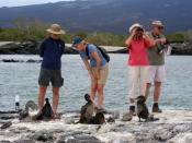 Kormorane watscheln direkt vor den Füßen der Touristen entlang. Auf Galapagos finden Besucher eine einzigartige Fauna vor. Foto: Tourismusministerium Ecuador