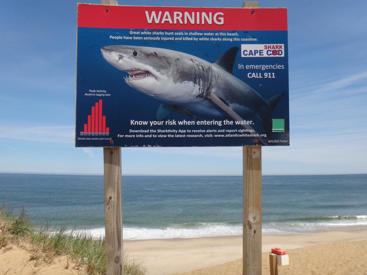 A sign on a beach carries a warning about great white shark biting incidents.