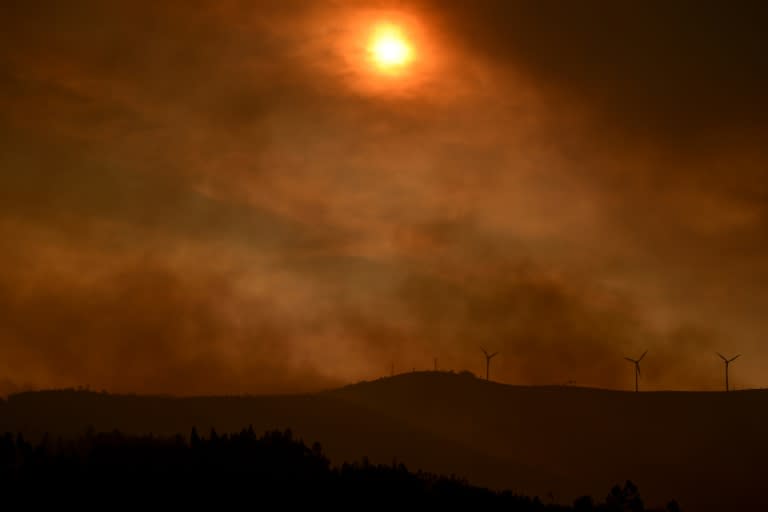 Smoke billows in a devastated area after a wildfire in Figueiro dos Vinhos, nearly 26,000 hectares (64,250 acres) have been destroyed by the fires