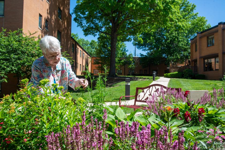 Varieties of milkweed, phlox, salvia, parsley and other plants picked to attract butterflies are tended to by Kay Jones at Topeka Presbyterian Manor Thursday.