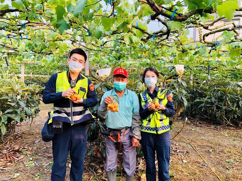 ▲東勢分局警方協助巡邏枇杷果園，守護果農心血(圖/記者鄧力軍翻攝)