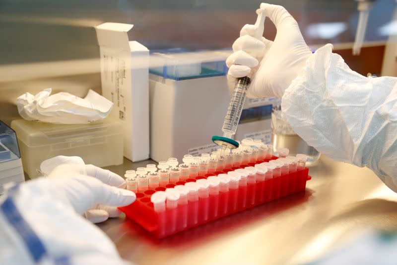 FILE PHOTO: Scientists develop a vaccine against COVID-19 in St Petersburg