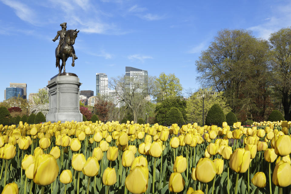 The impressive bronze George Washington statue at Boston Common.